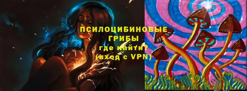 Галлюциногенные грибы Psilocybe  Магадан 